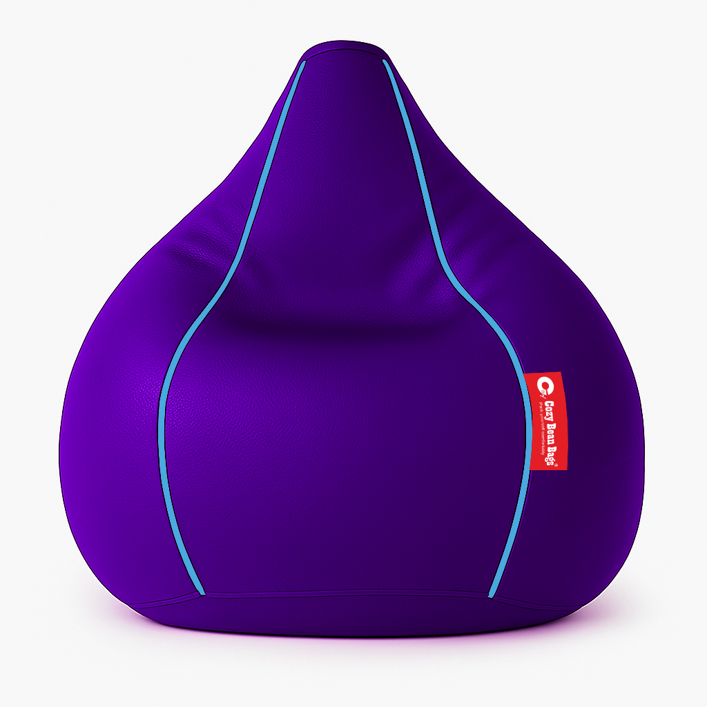 Sporty Egg Type Bean Bag – Purple and Skyblue